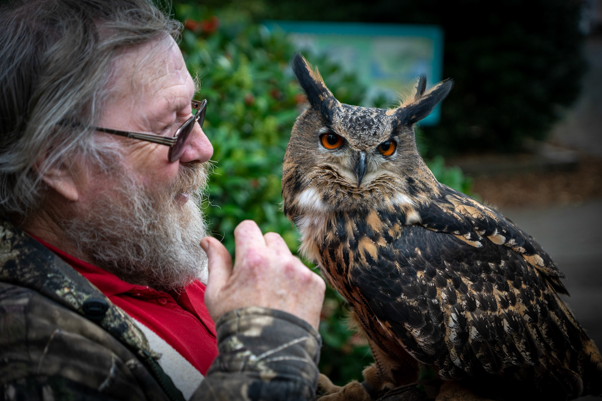 Man with Owl at Portmerrion