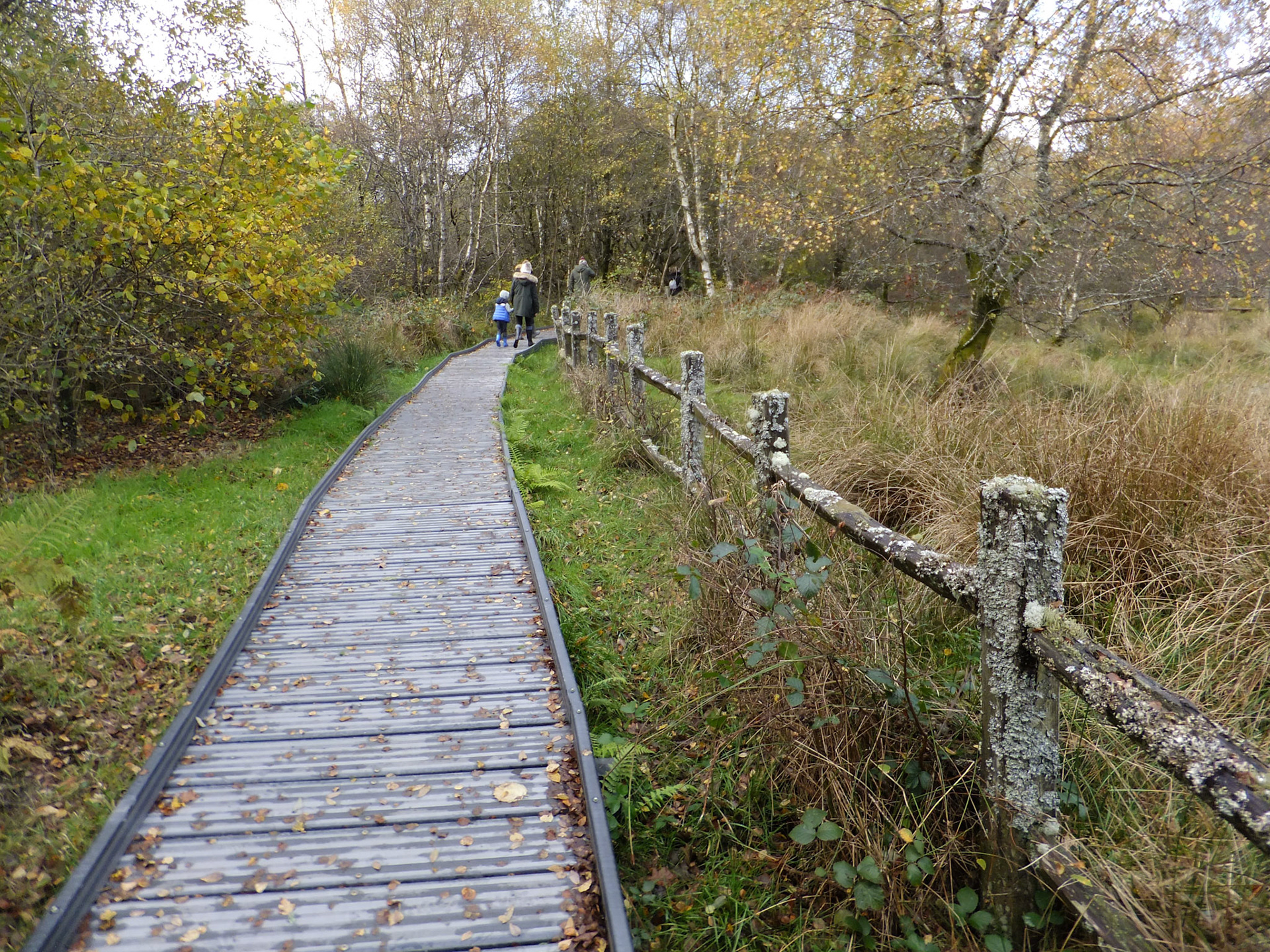 Cors Caron Nature Reserve (FinePix F300EXR)