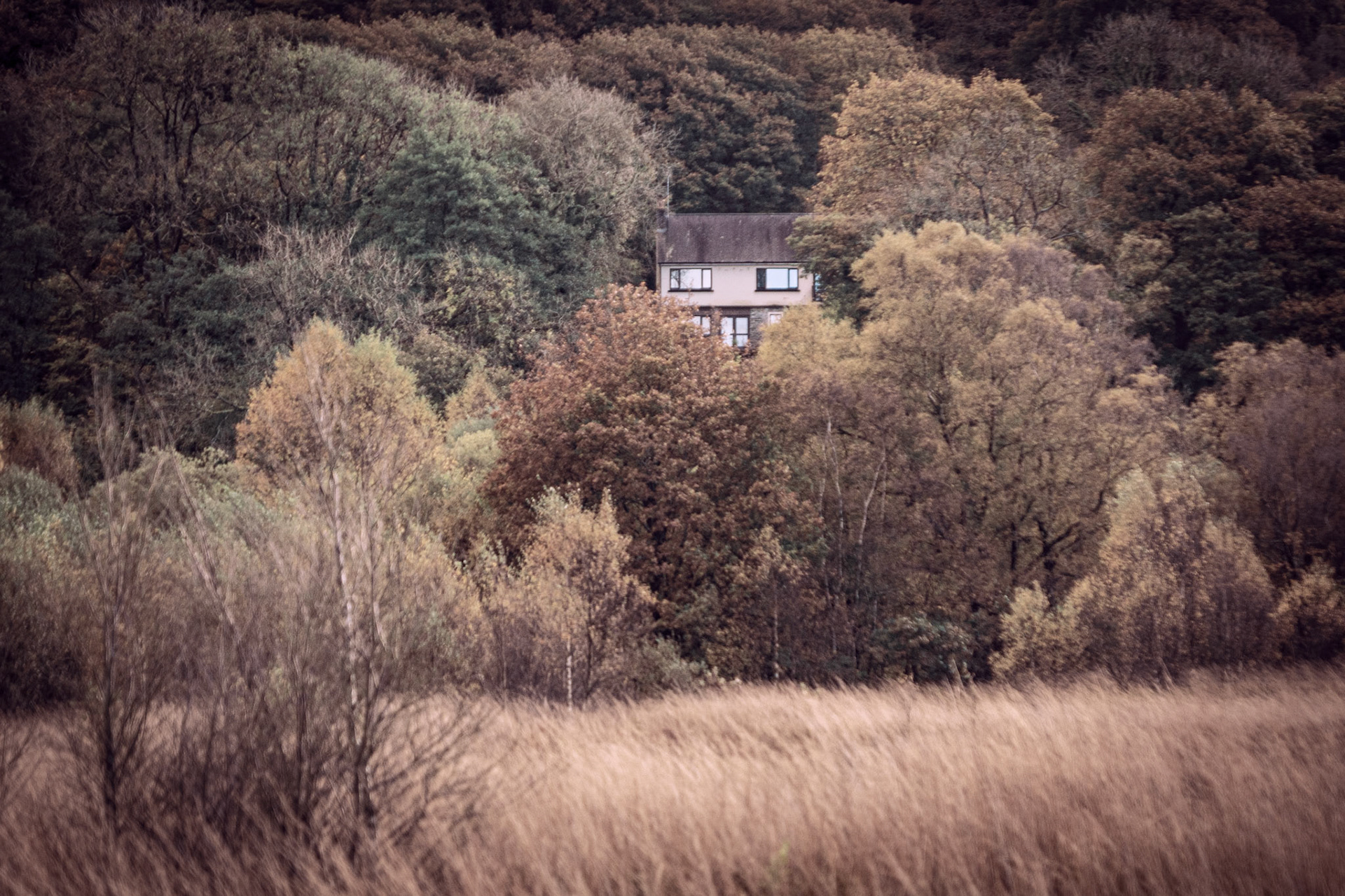 Cors Caron Nature Reserve