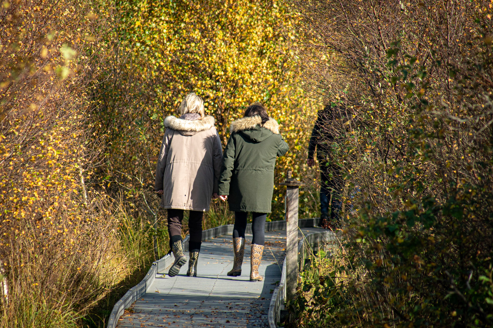Trudi and Dani leaving Cors Caron Nature Reserve