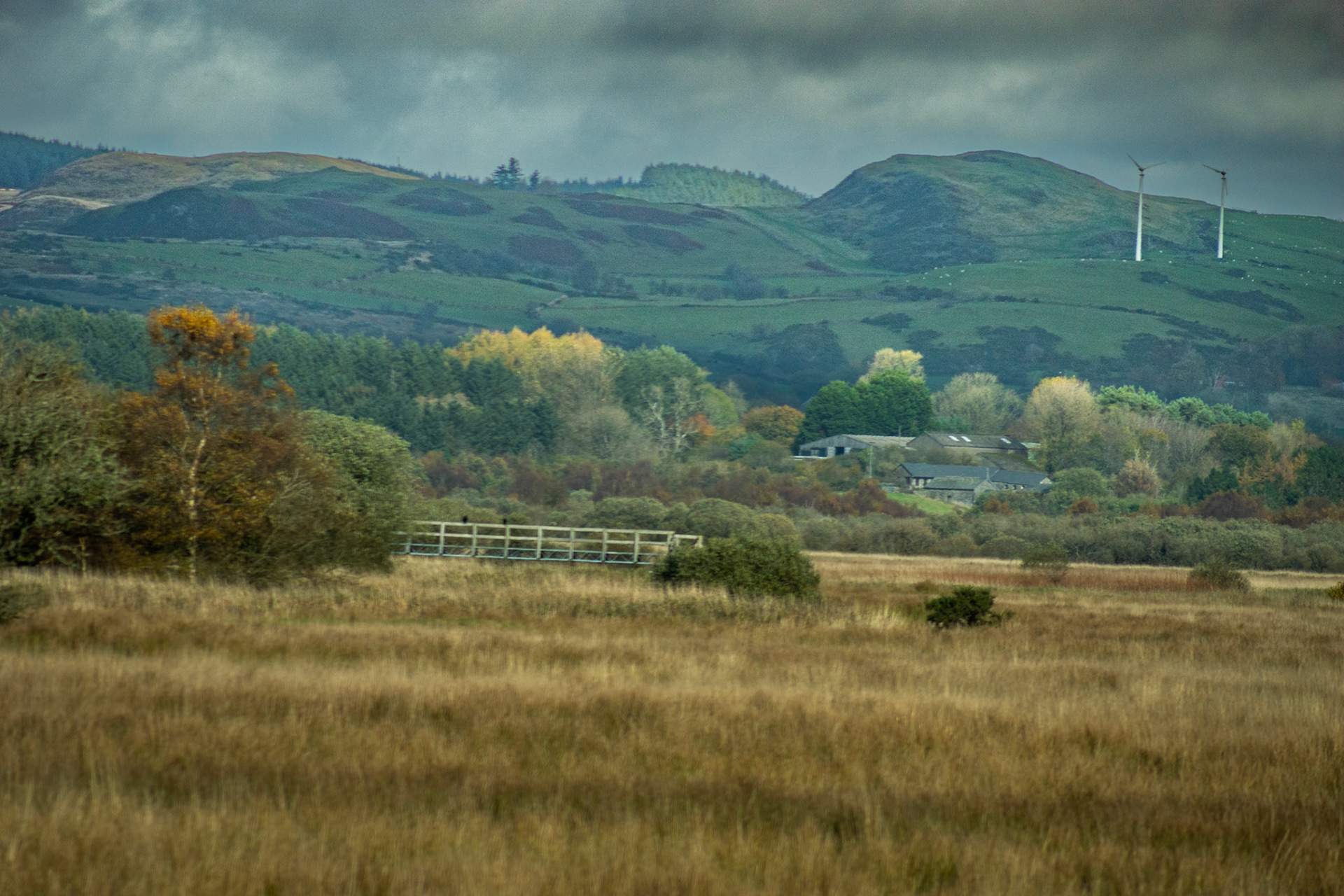 Cors Caron Nature Reserve