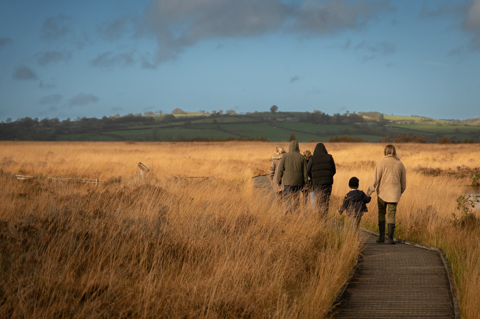 Cors Caron Nature Reserve