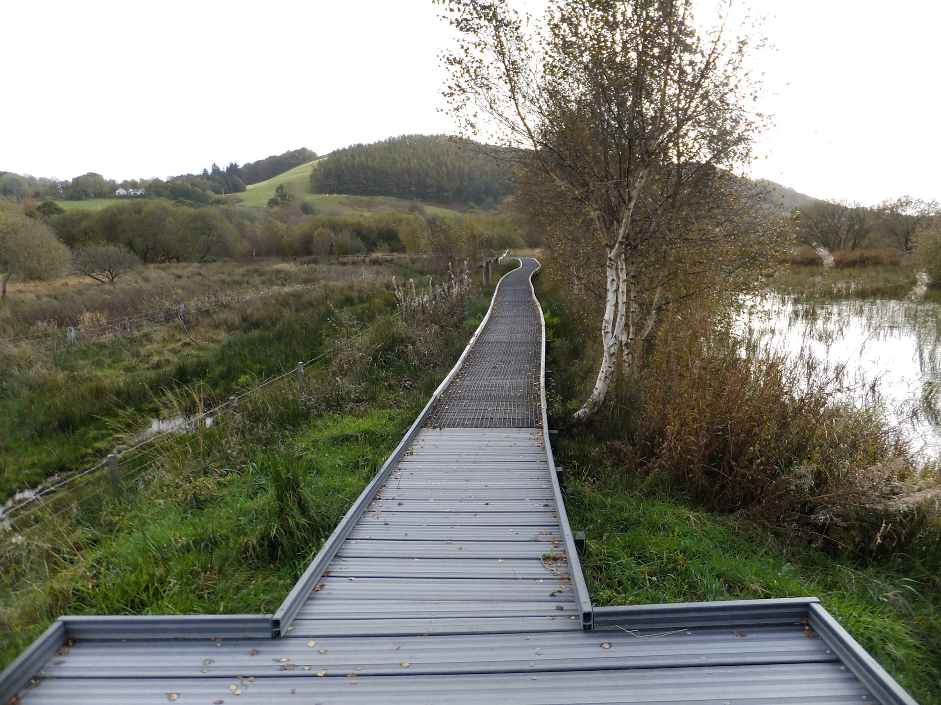 Cors Caron Nature Reserve (FinePix F300EXR)