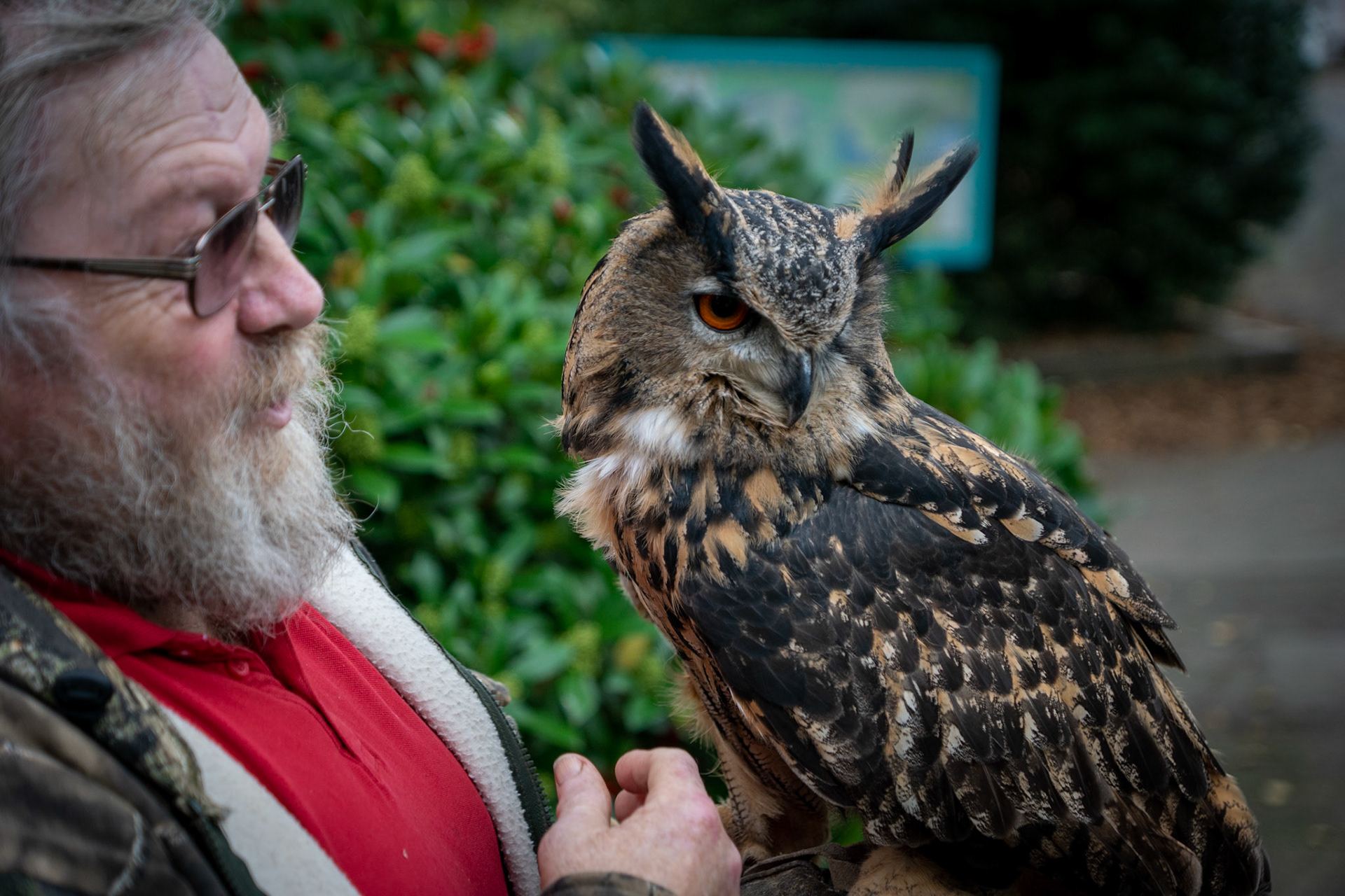 Man with Owl at Portmerrion