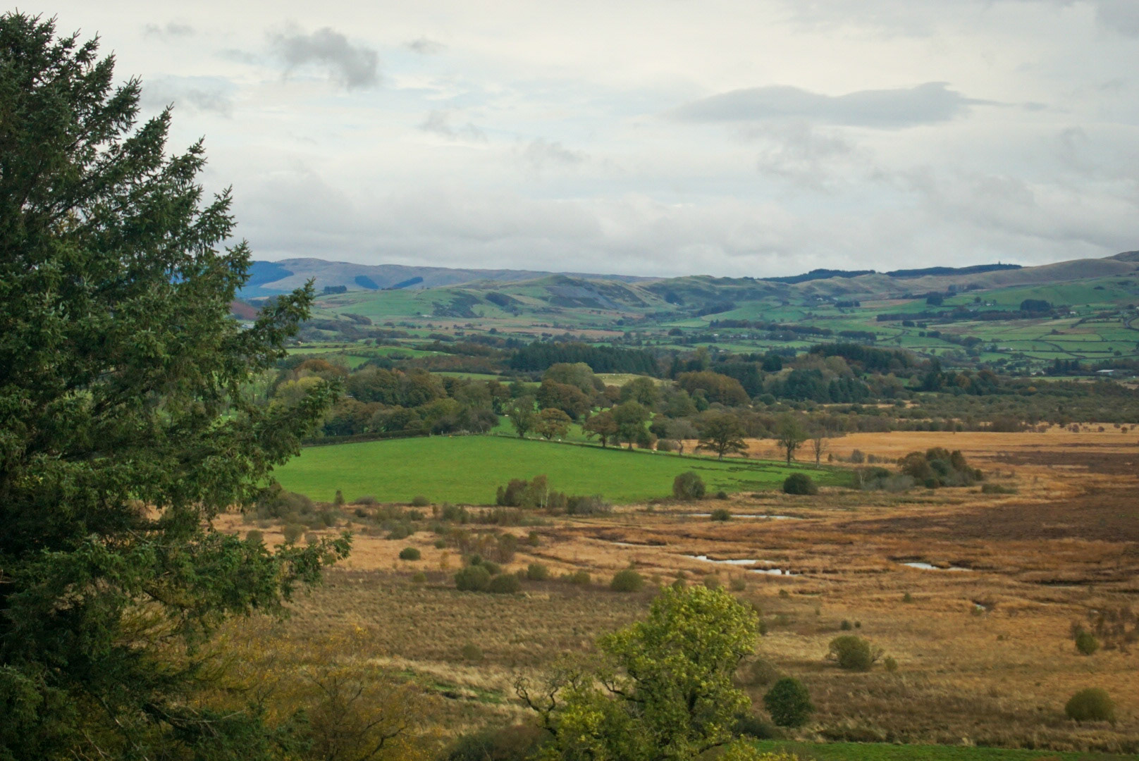 Cors Caron Nature Reserve