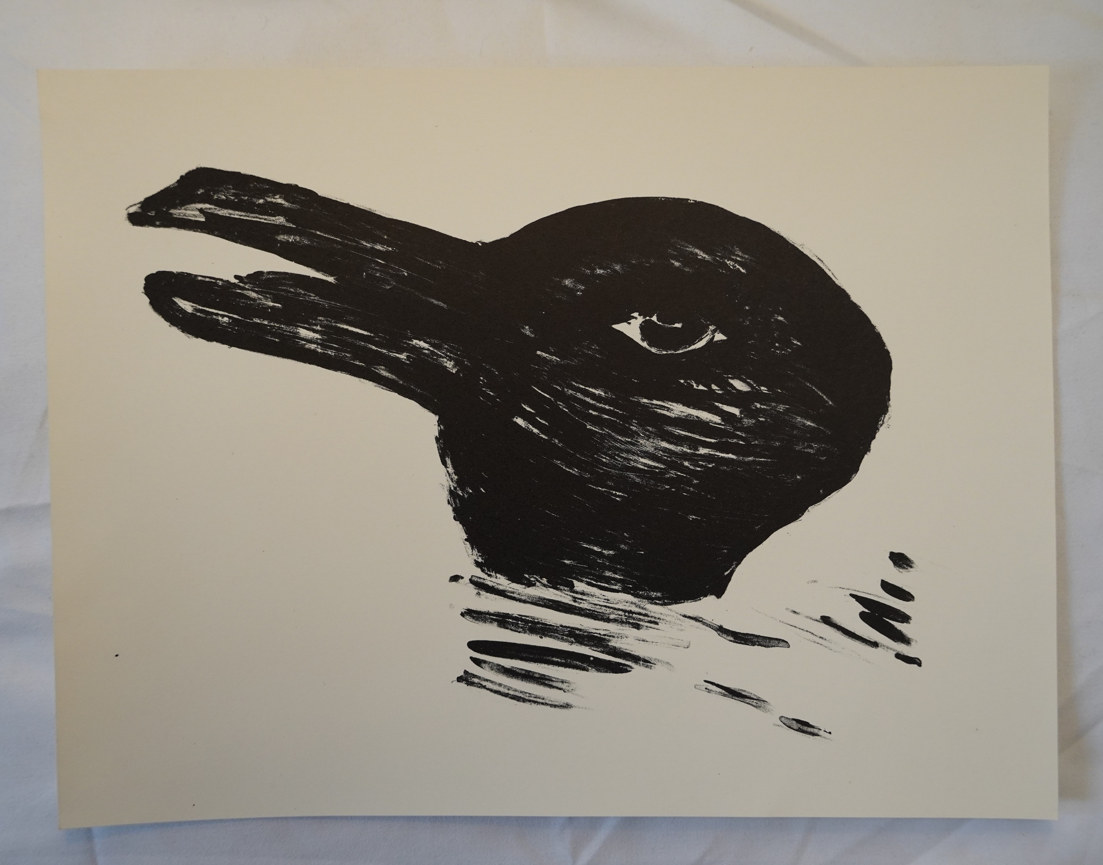 Ugly Duckling