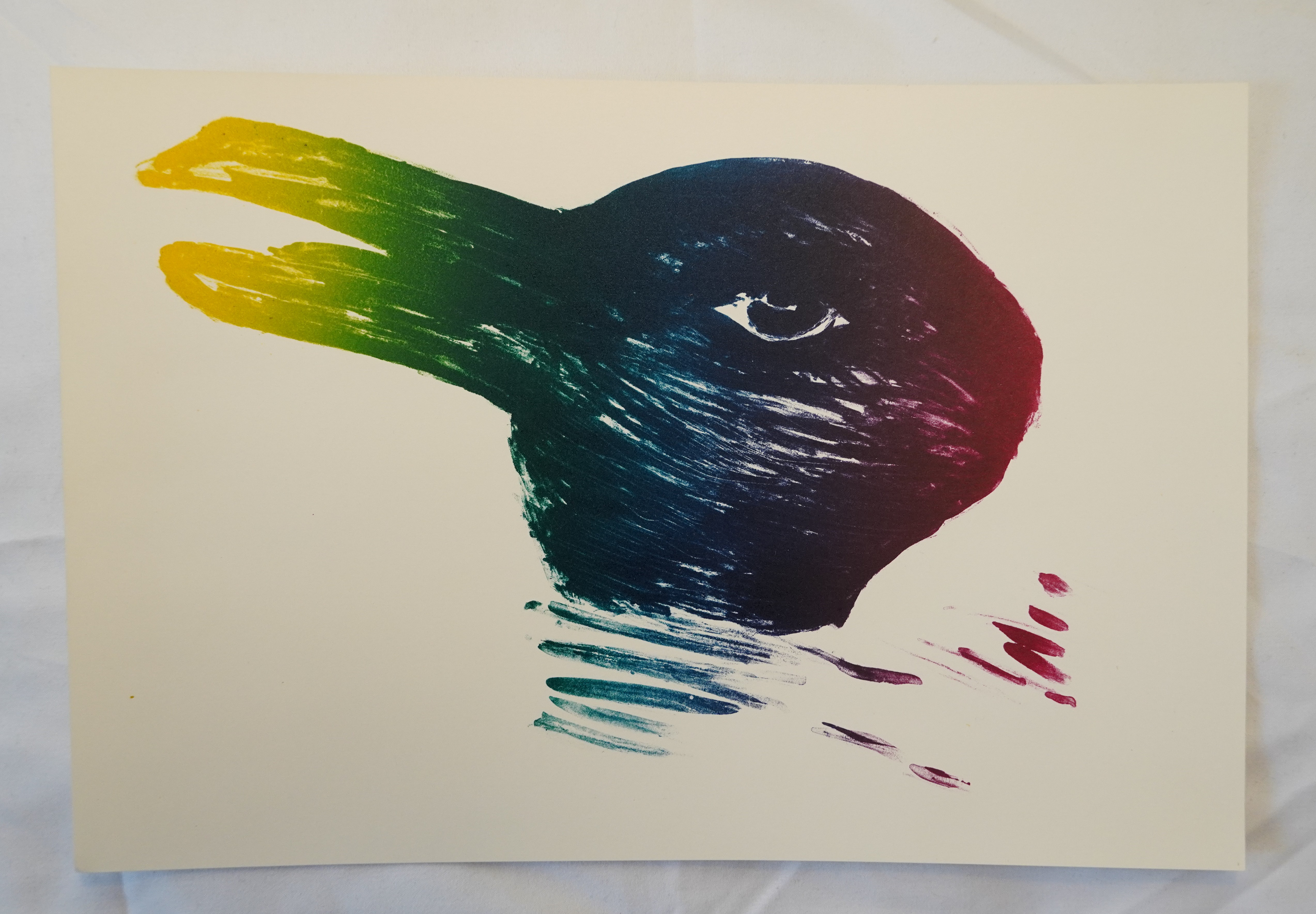Rainbow Duck