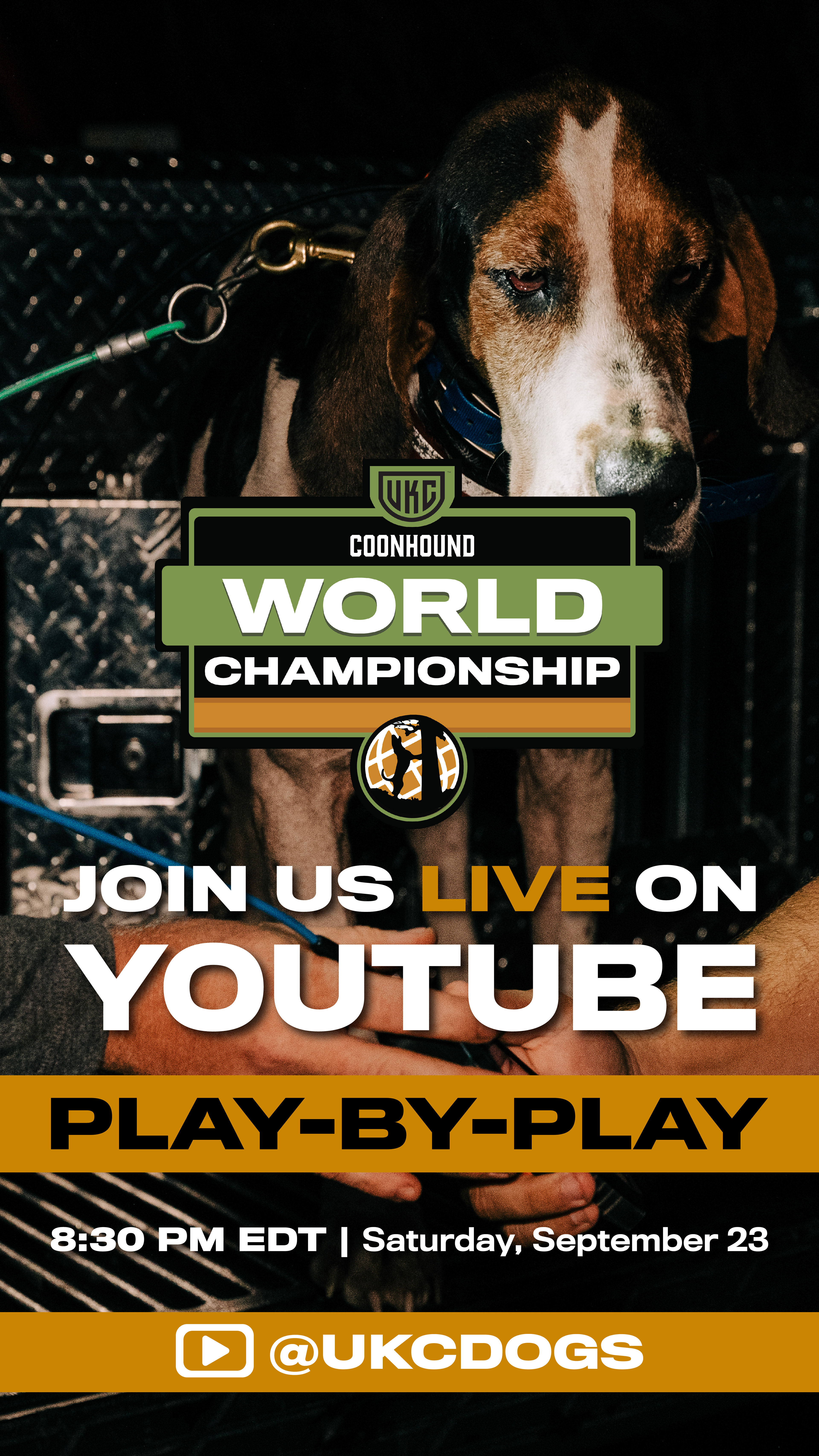 Stories created for promotion of a Live Show at a UKC National Event.