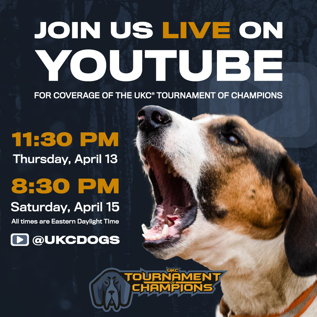 Social media graphics created for promotion of a Live Show at a UKC National Event.