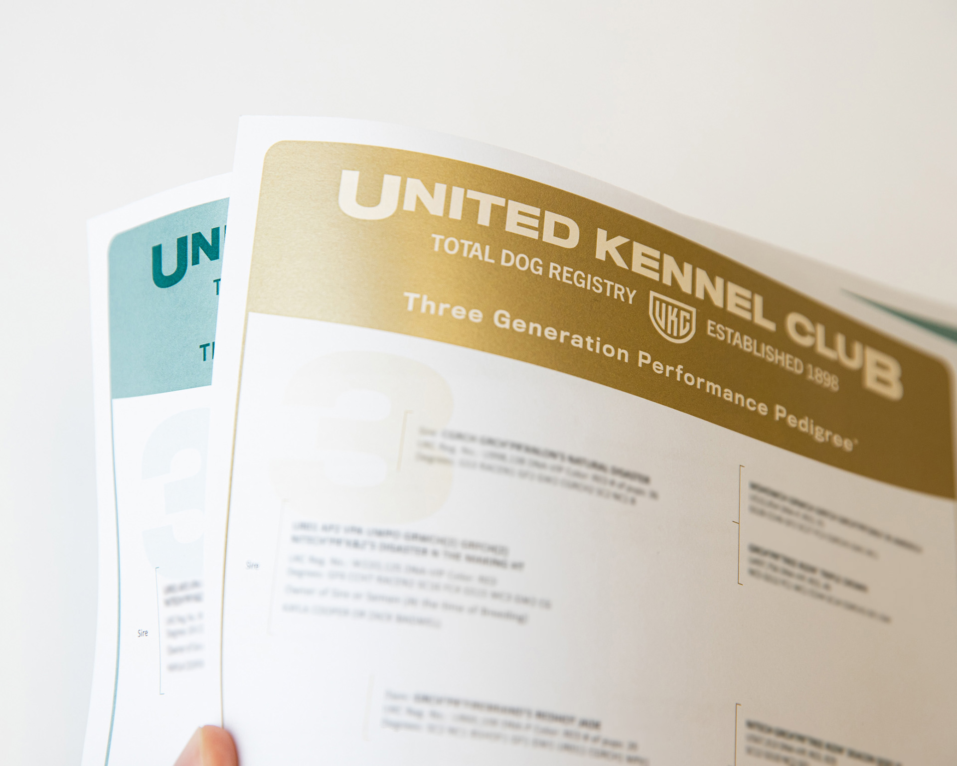 UKC Main Brand Pedigree Re-Design