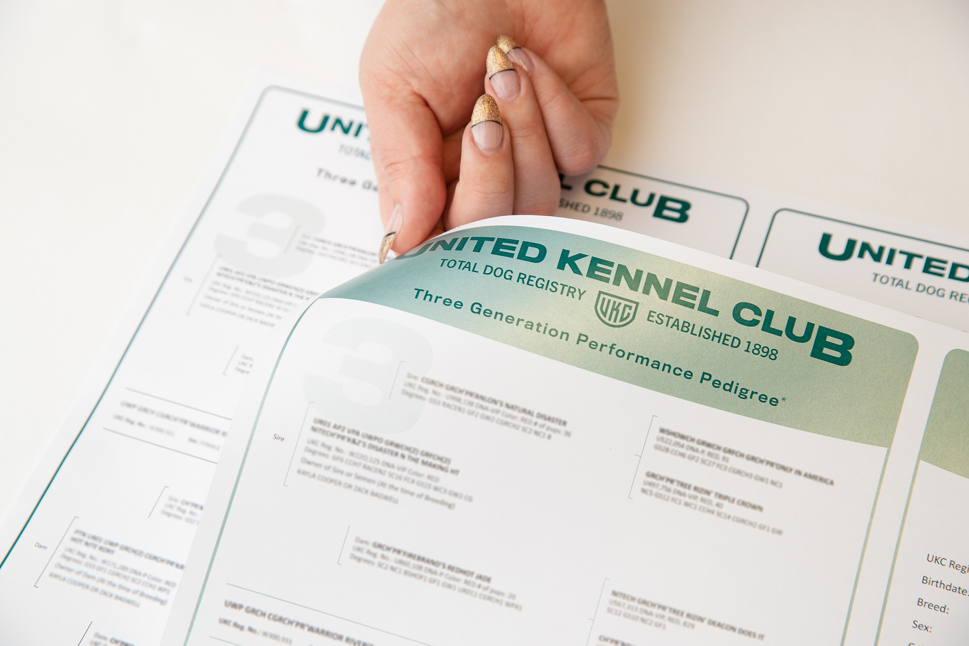 UKC Main Brand Pedigree Re-Design