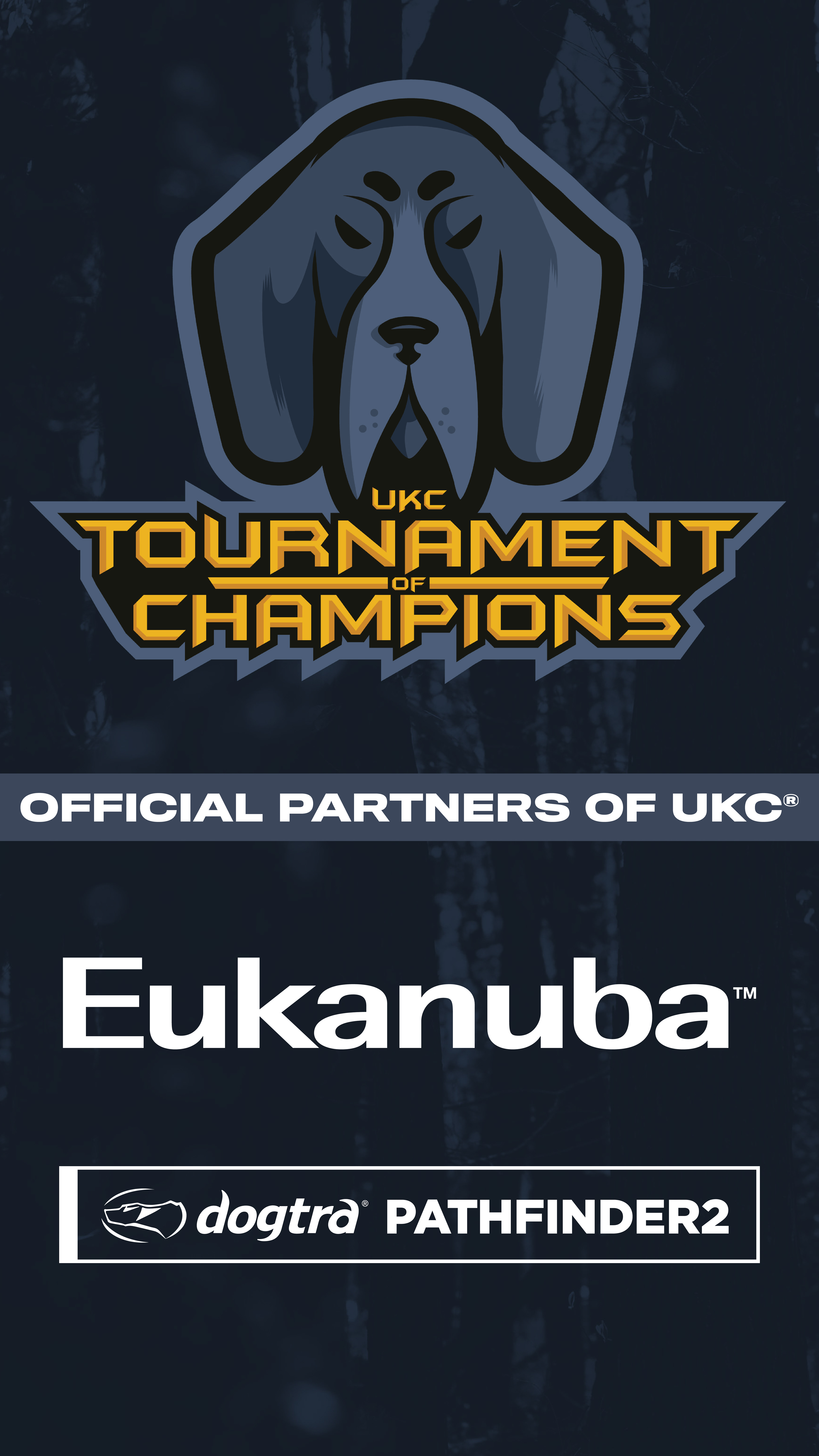 Stories created for promotion of a Live Show at a UKC National Event.