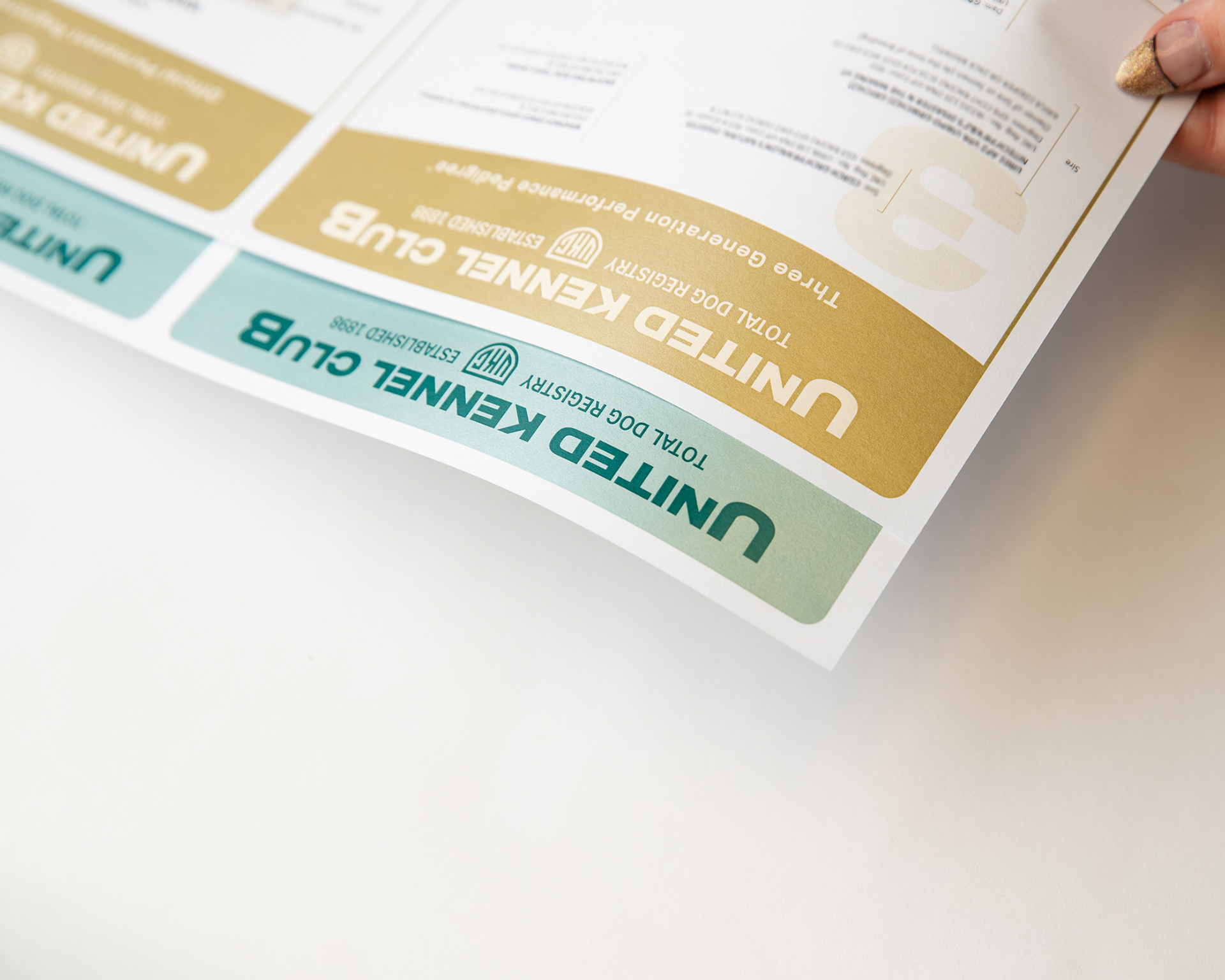 UKC Main Brand Pedigree Re-Design