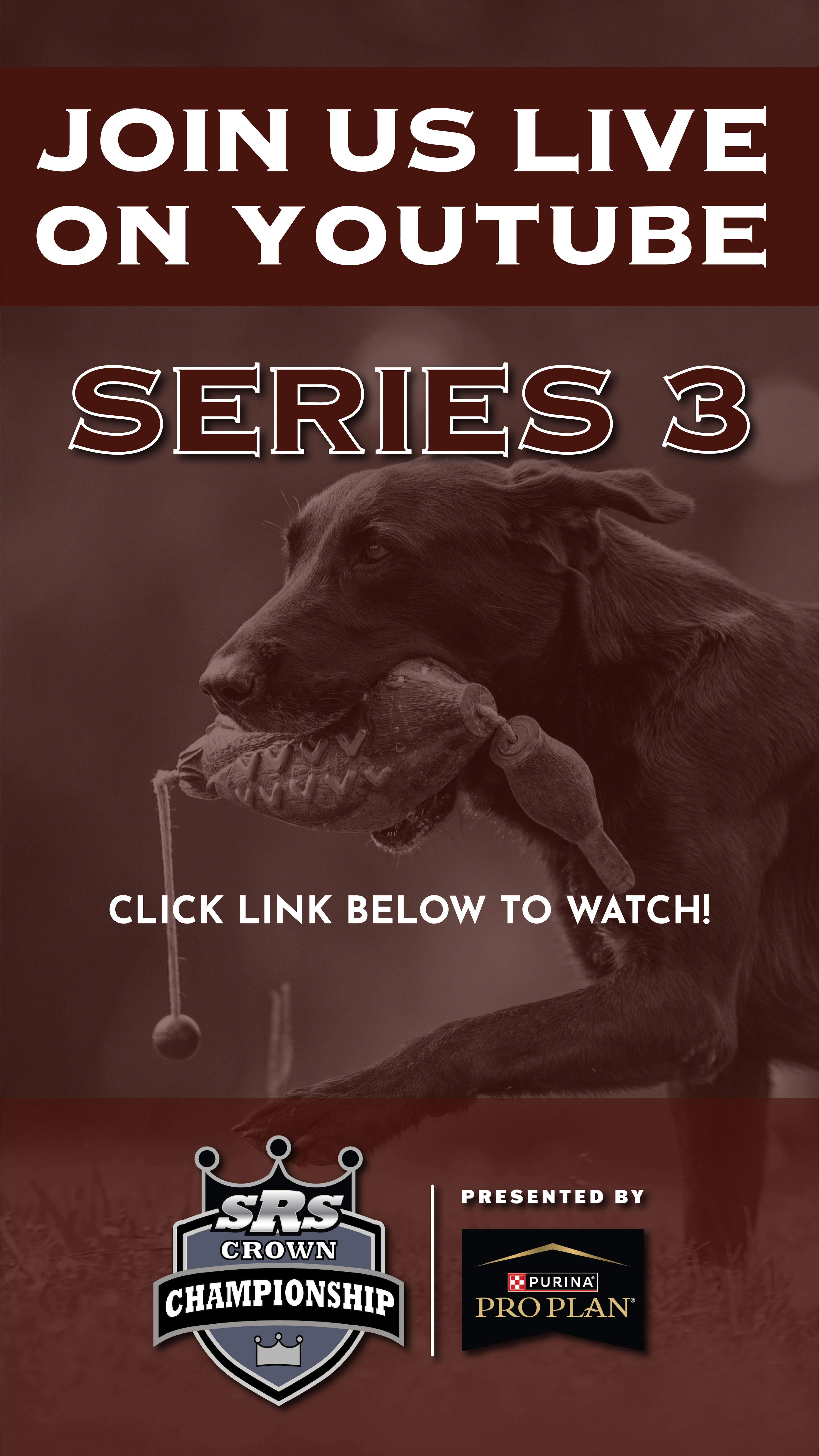 Live Instagram/Facebook Story for each day of competition. Link to Livestream would be placed on it as well.