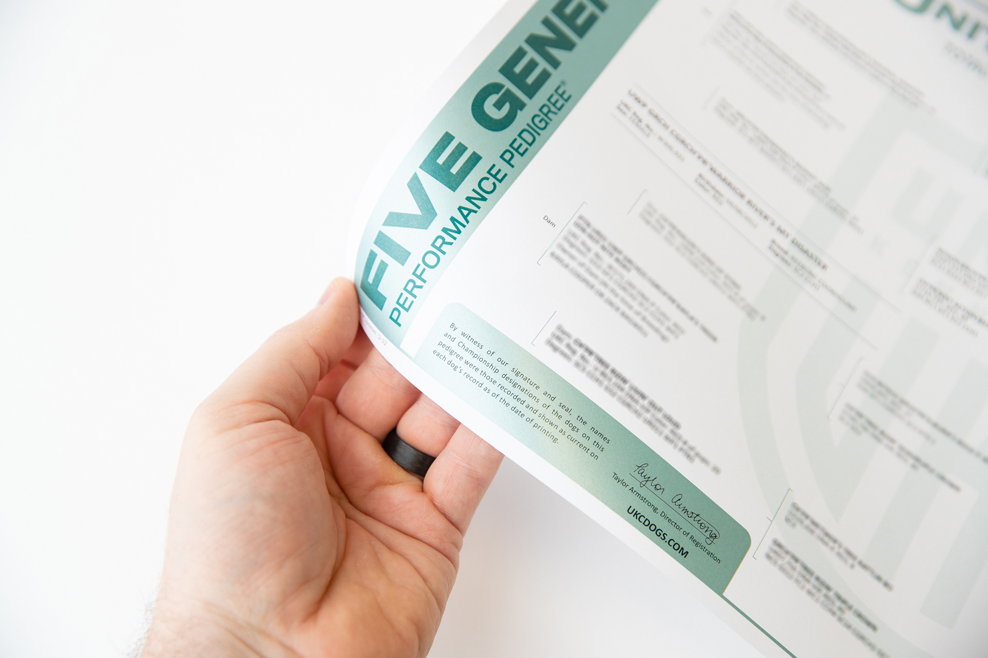 UKC Main Brand Pedigree Re-Design