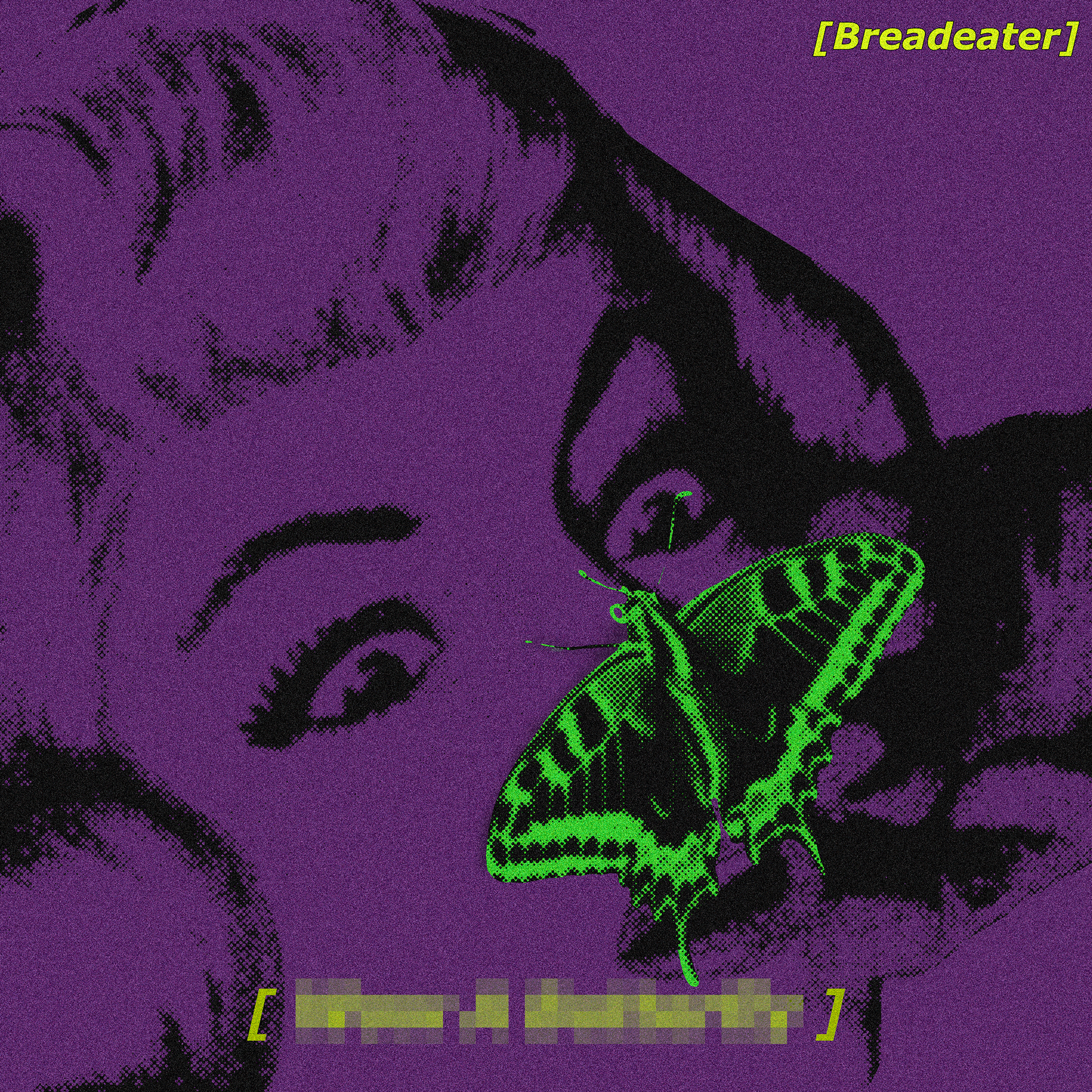 "Wow - a Butterfly"