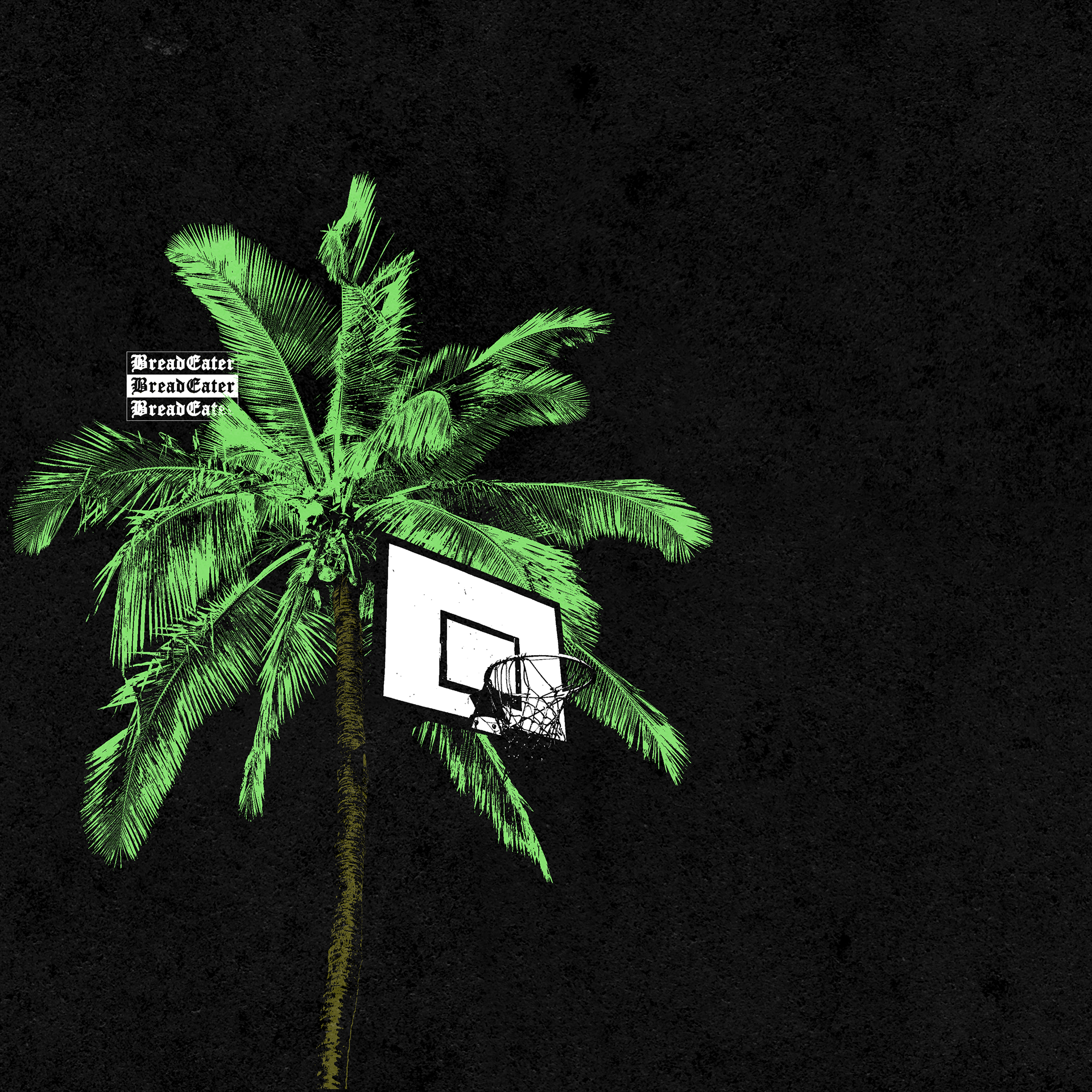 Palm Trees Where I Lay Up