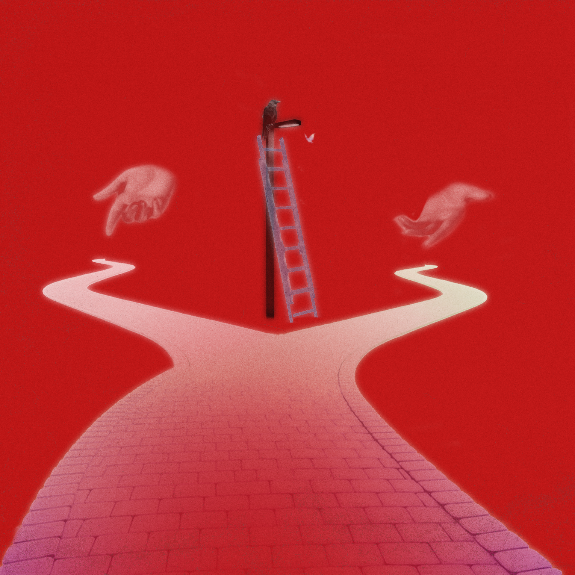 OMENS // WHICH WAY