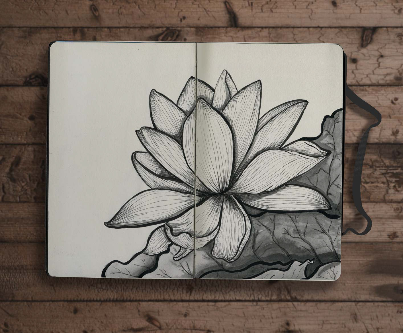 'Lotus'