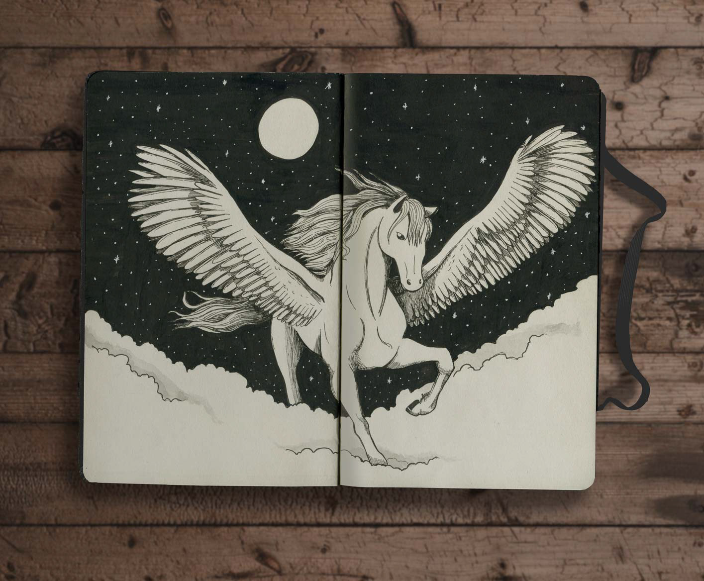 'Pegasus'
