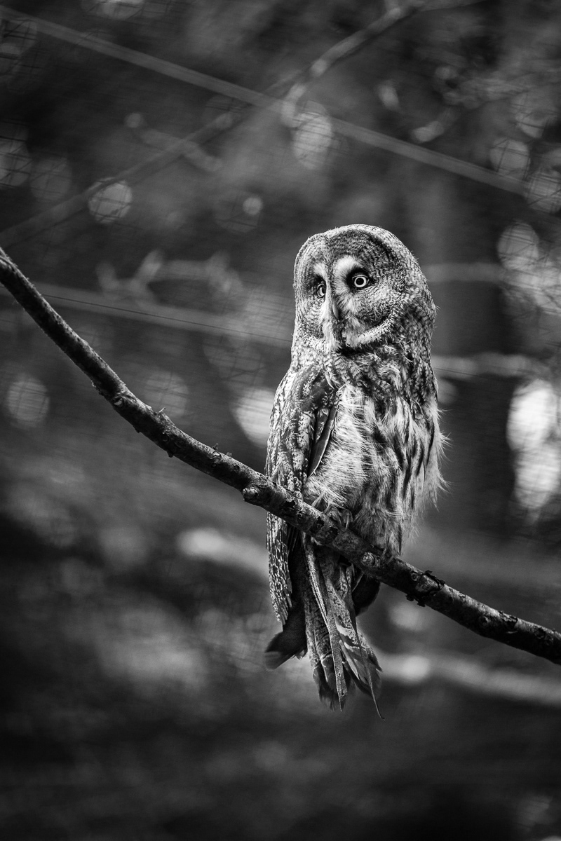 Uggla Skånes Djurpark