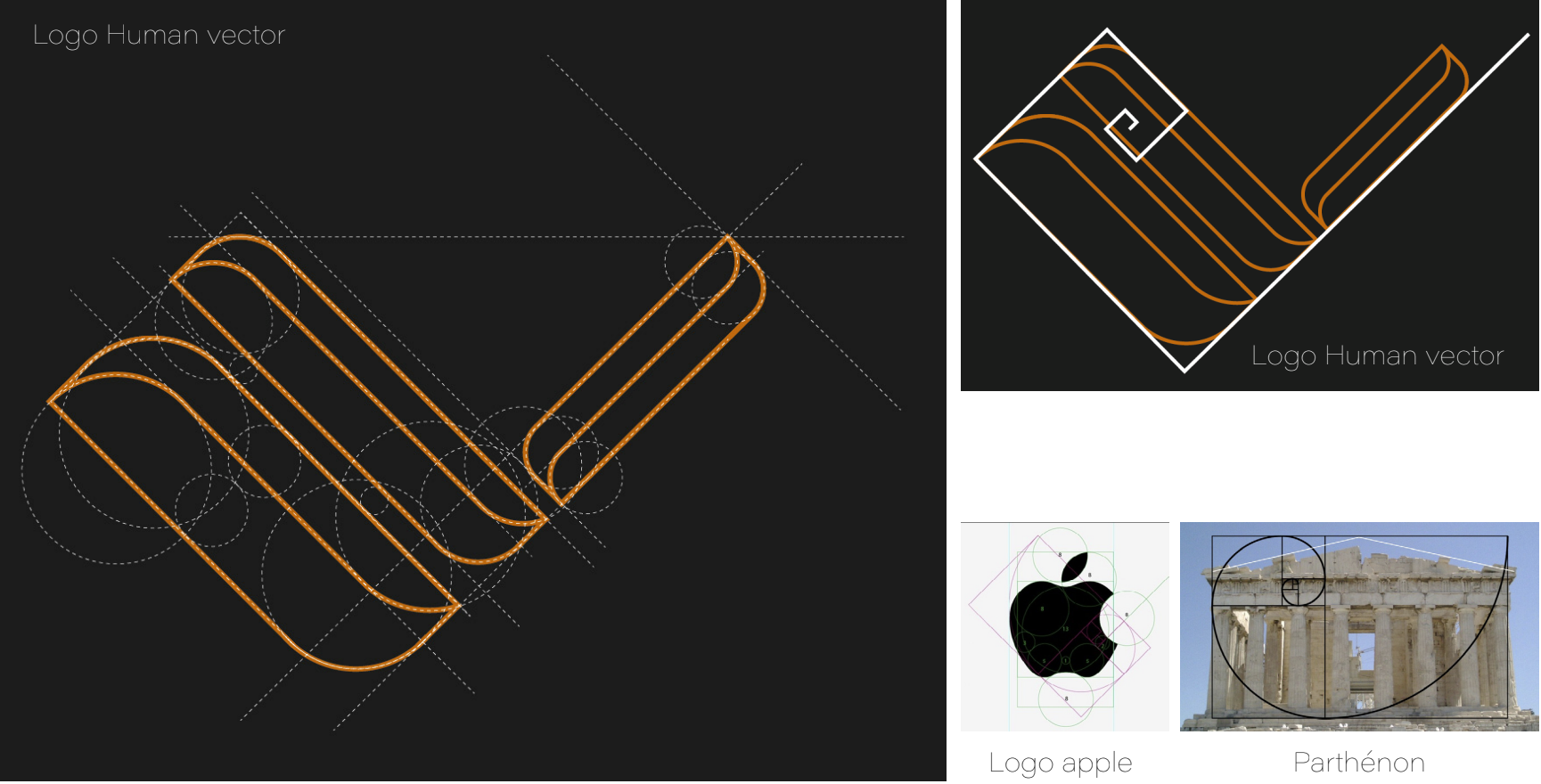 Construction  selon la règle du nombre d'or - Logo Human vector