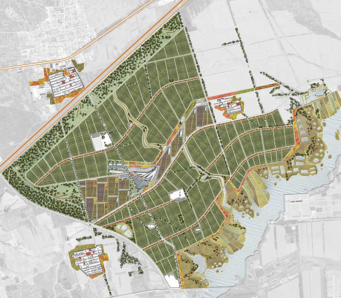 pianta, parco ecologico, ramoprimo, design,