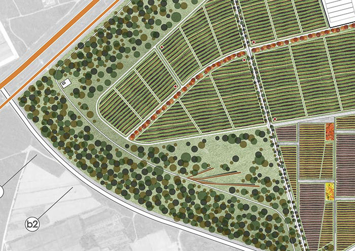 花园 头条, 设计,ecological park, masterplan, ramoprimo