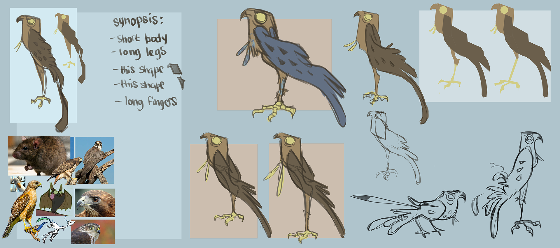 Hawk - Exploration 02