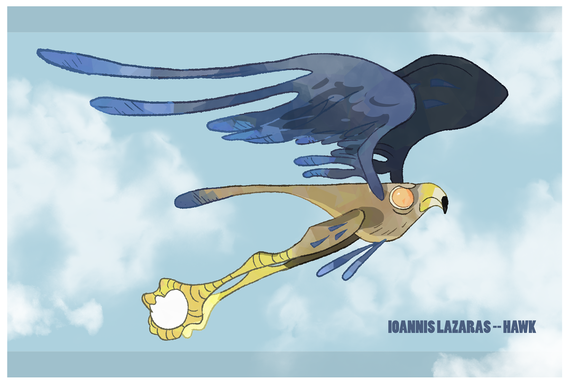 Hawk