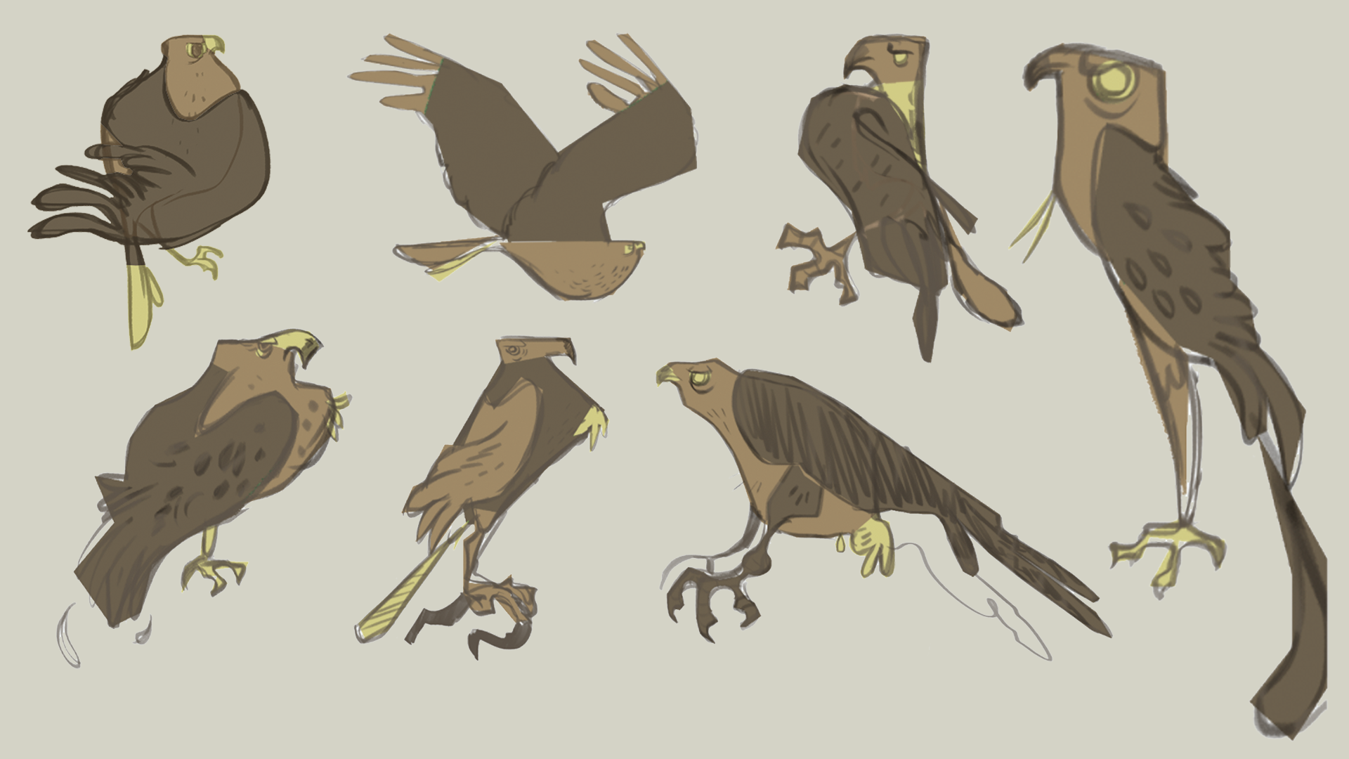 Hawk - Exploration 01