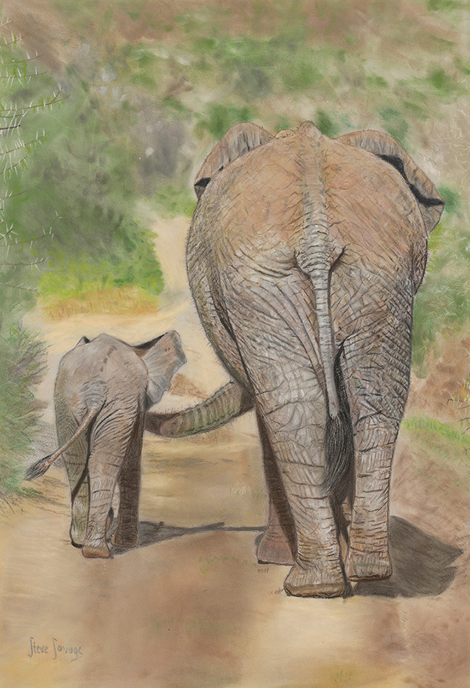 Mother's Love