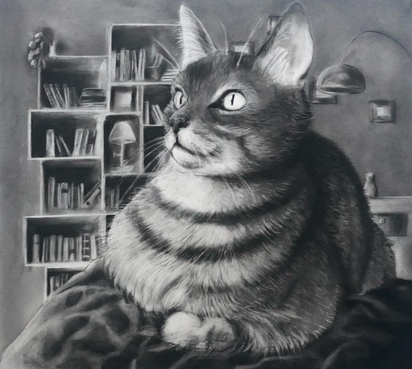 Tigris - Charcoal