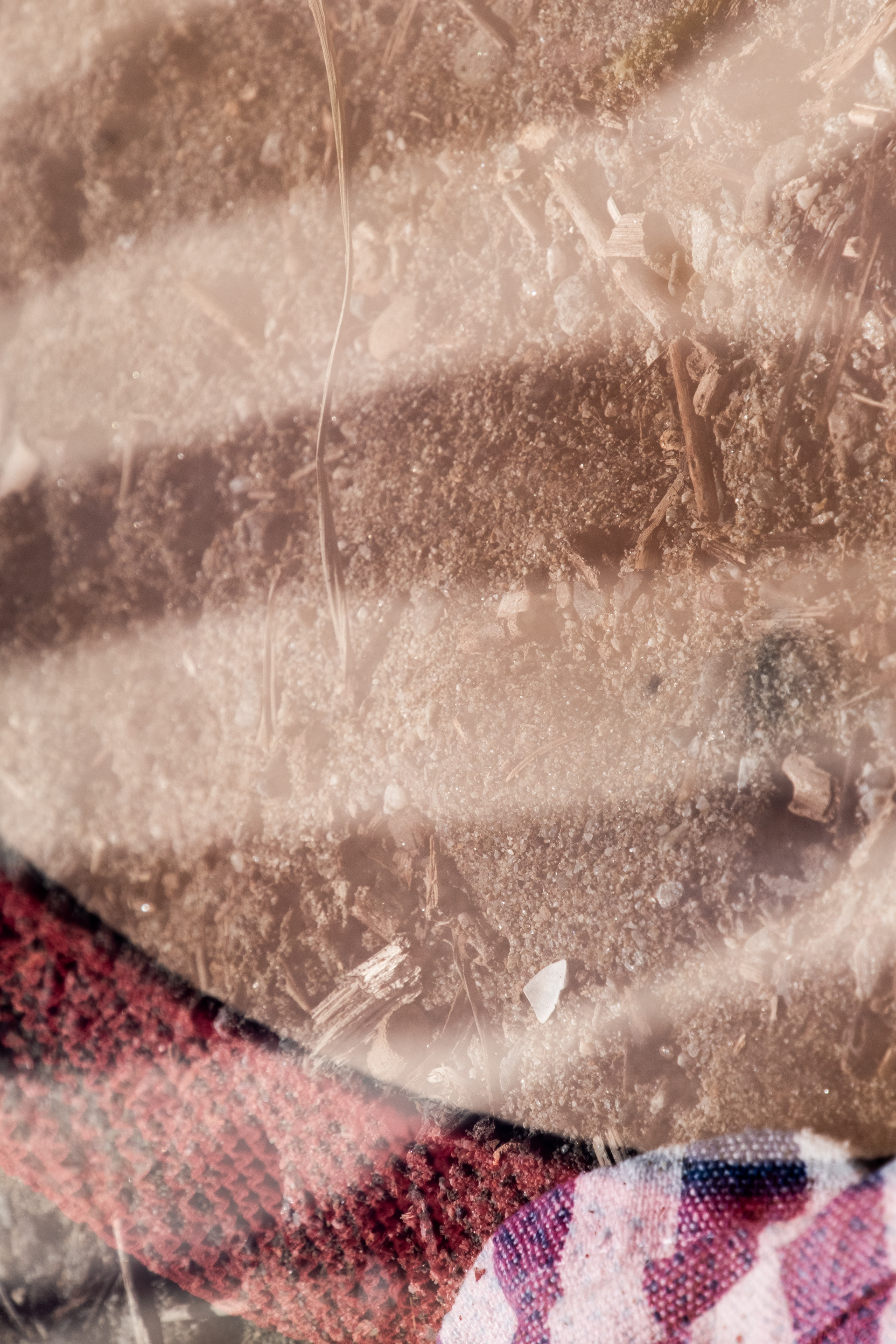 i primi giorni di caldo 2