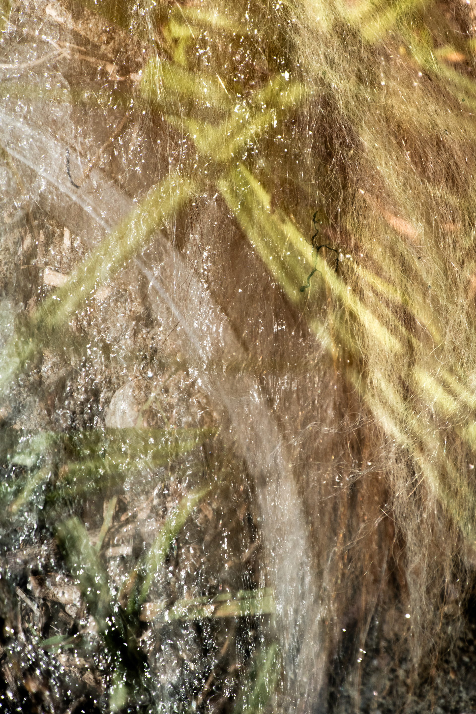 i primi giorni di caldo 1