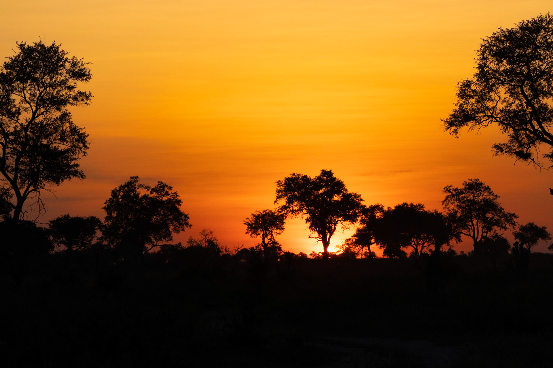 Botswana Sunset