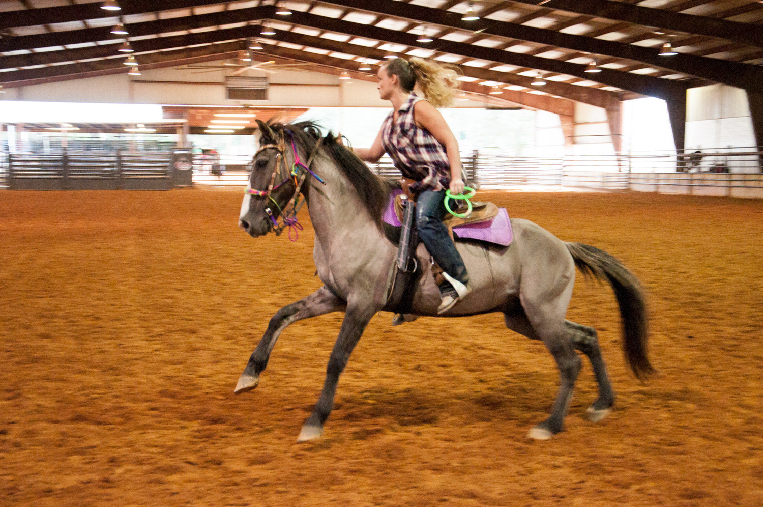 American Indian Horse Registry National Show