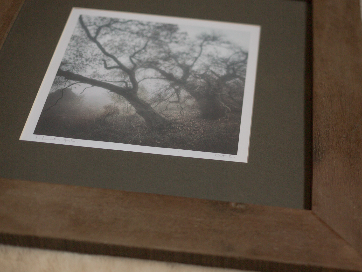 Framed print