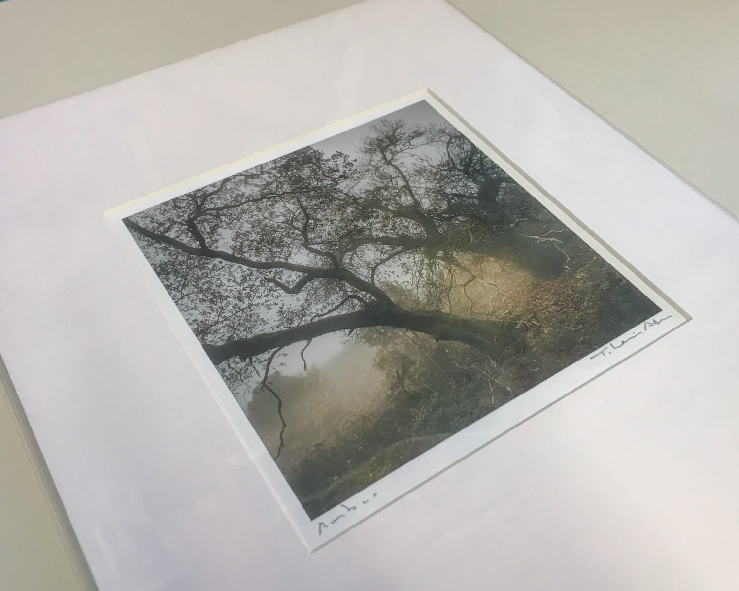 A3 mounted print