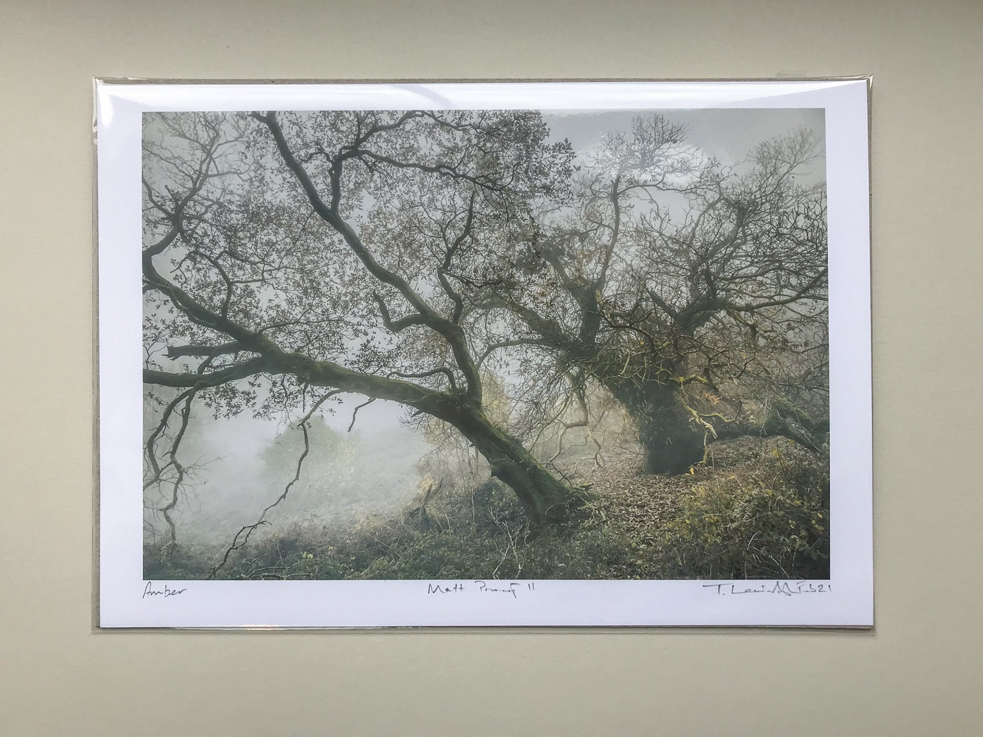 A3 unmounted open edition print