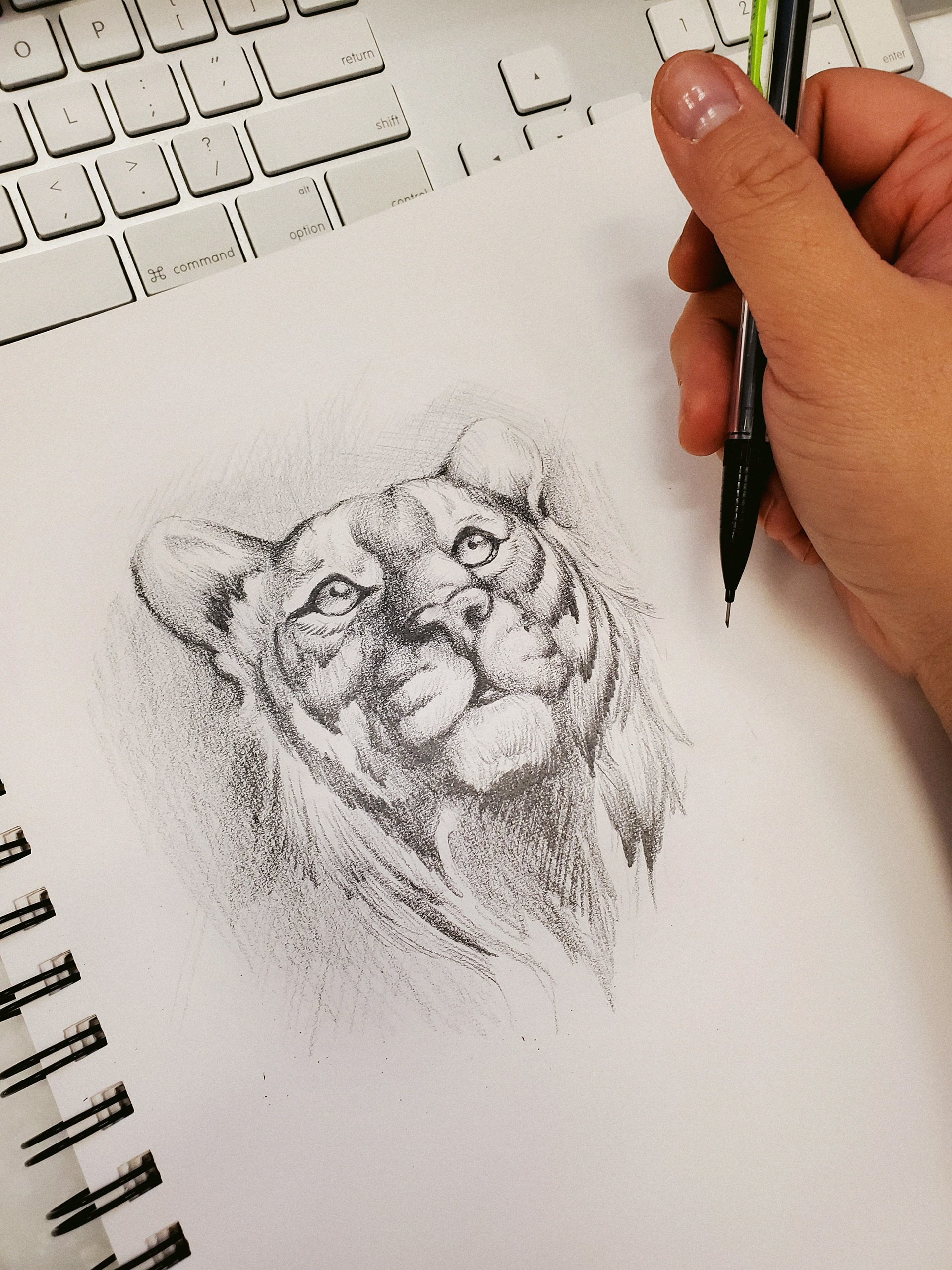 Graphite