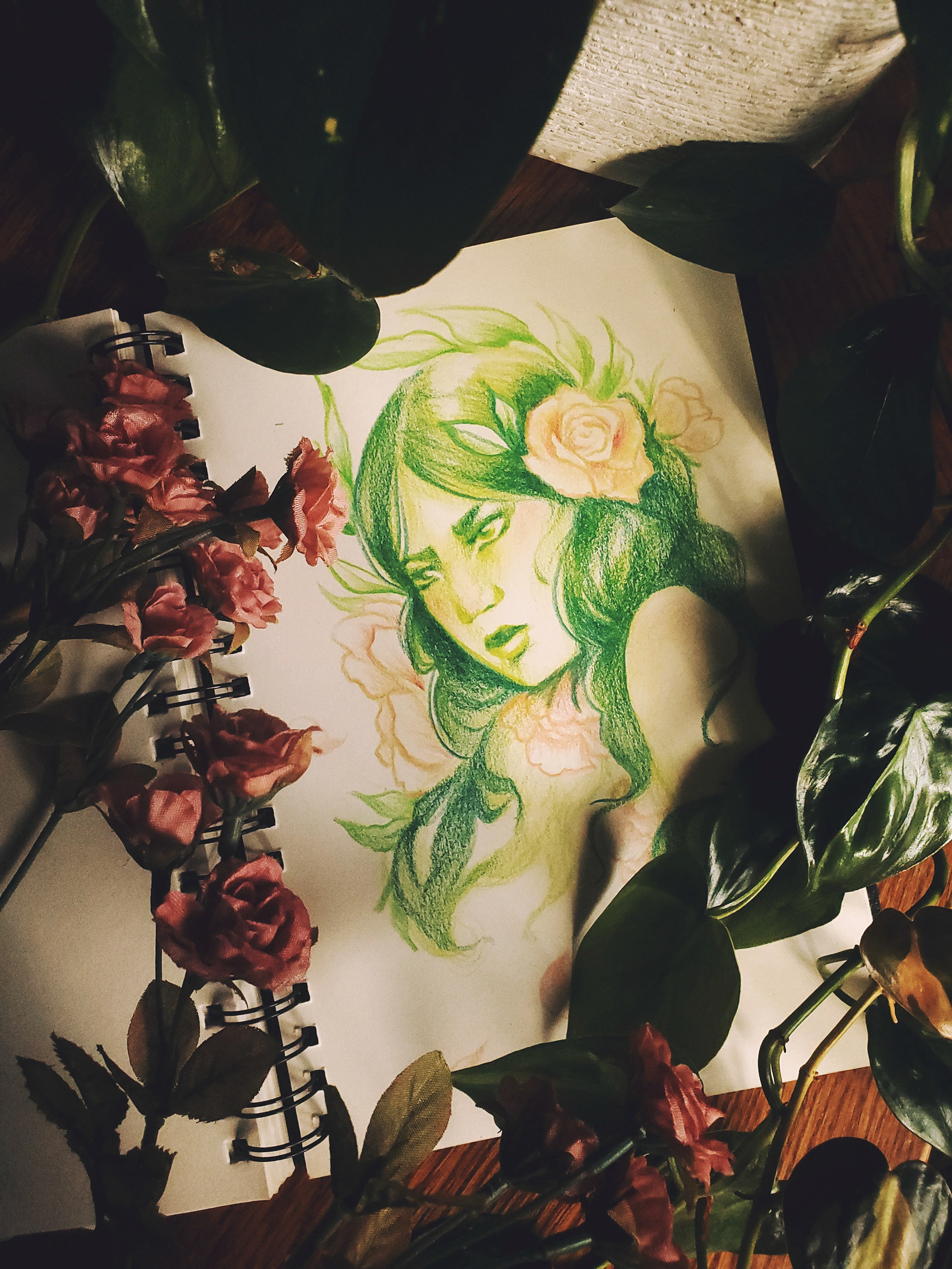 Pencil Crayon