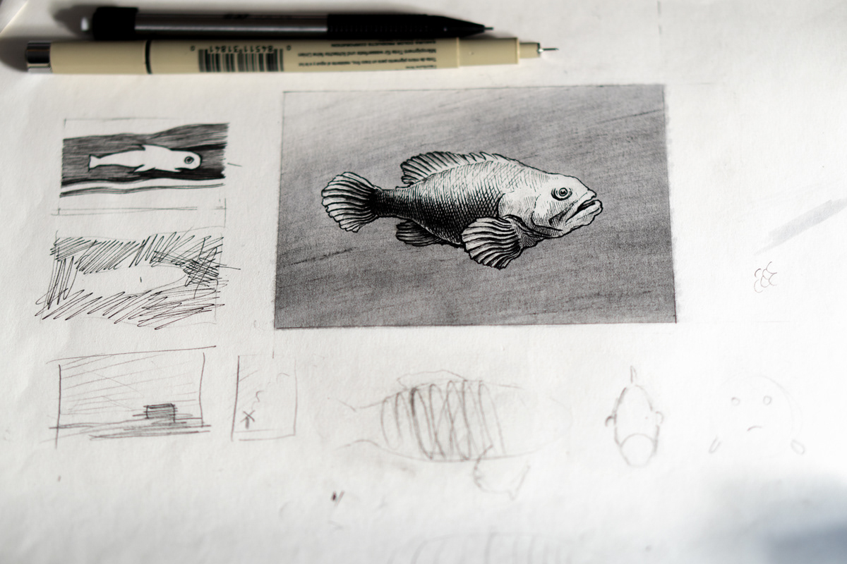 In class fish demo
