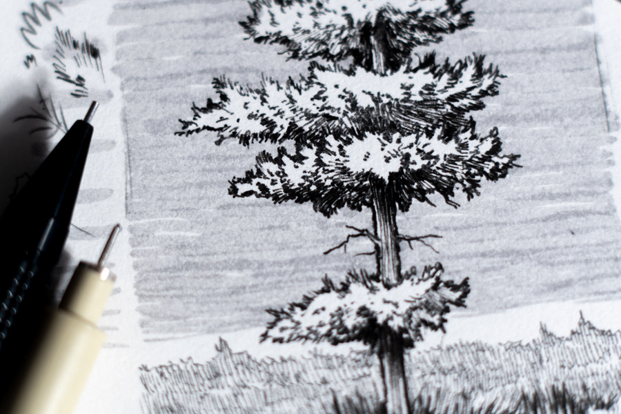 In class tree demo detail