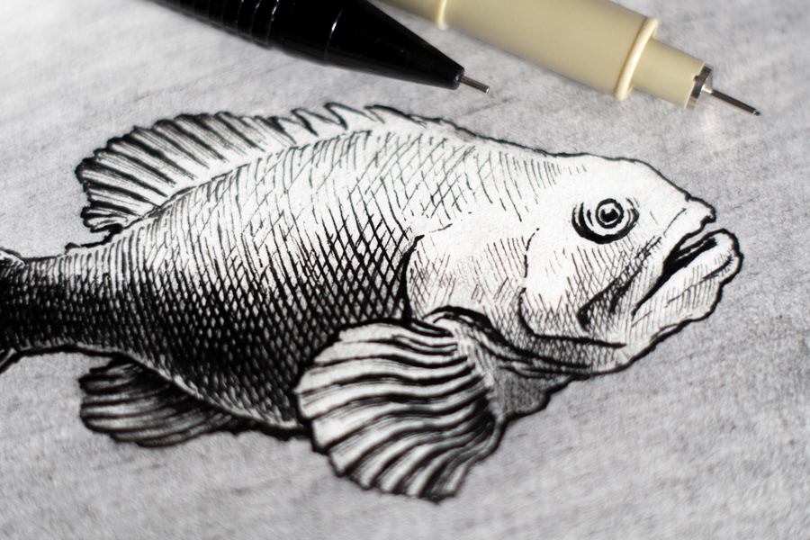 In class fish demo detail
