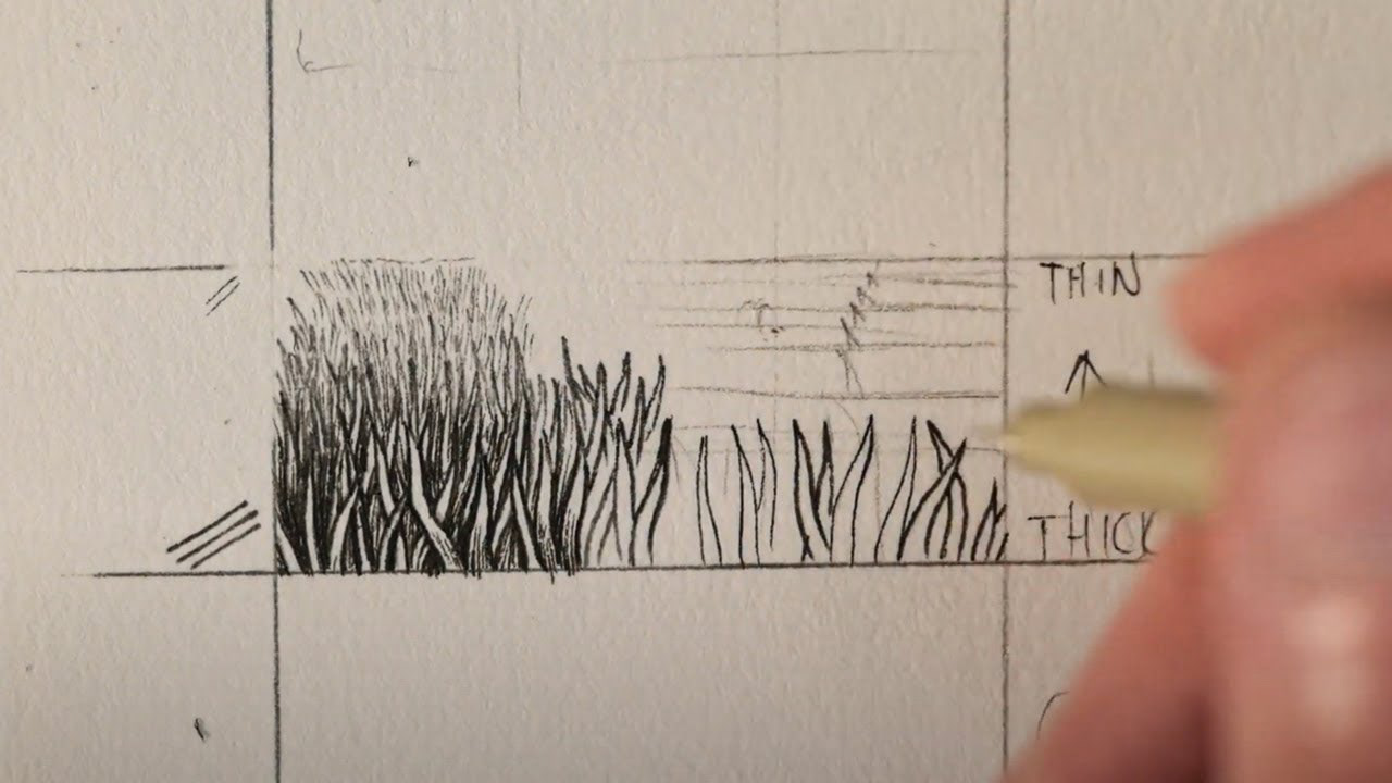 Drawing Grass and Hair Pre recorded Tutorial