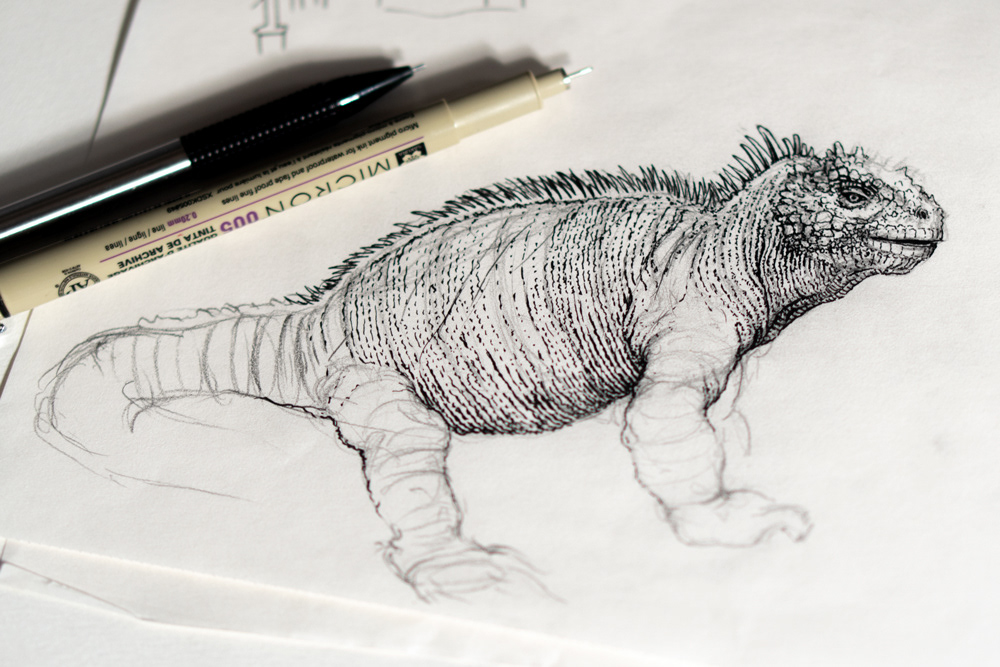 In class iguana demo