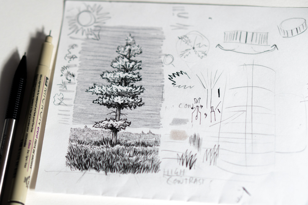 In class tree demo