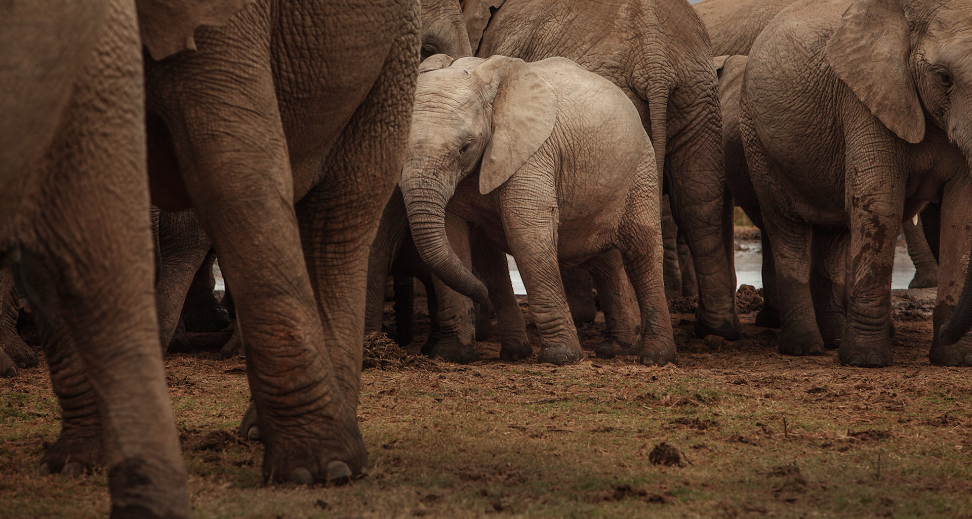 südafrika - reisefotografie
