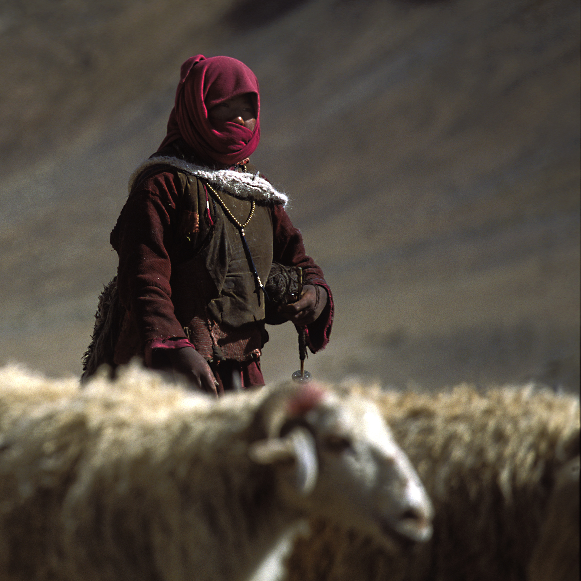 ladakh - reisefotografie